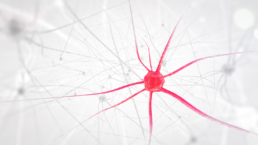 Conectamos neuronas en nuestras organizaciones